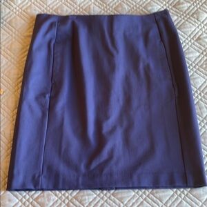 J Jill Classic Women's Skirt NWT
